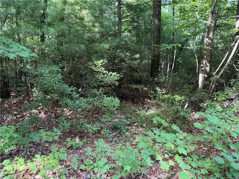 lot191 192 Casey Mountain Rd, Purlear, NC 28665 photo 17
