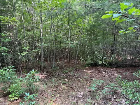 lot191 192 Casey Mountain Rd, Purlear, NC 28665 photo 10