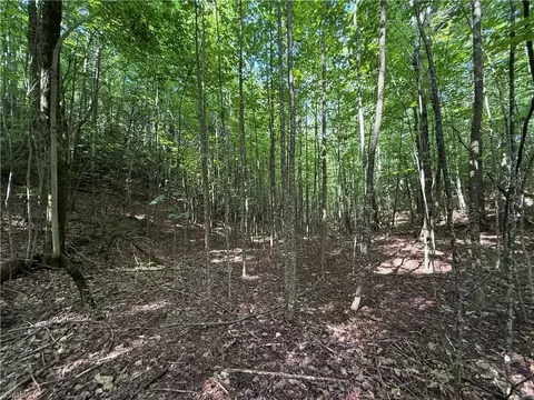 lot191 192 Casey Mountain Rd, Purlear, NC 28665 photo 19