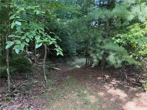 lot191 192 Casey Mountain Rd, Purlear, NC 28665 photo 8