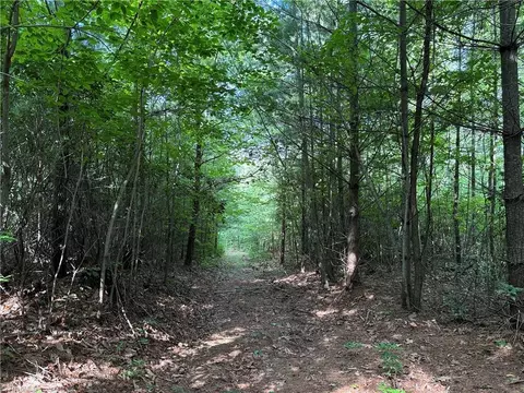 lot191 192 Casey Mountain Rd, Purlear, NC 28665 photo 13