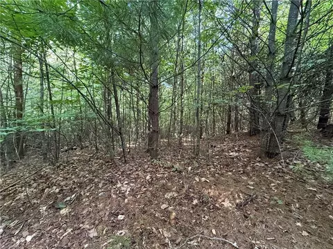 lot191 192 Casey Mountain Rd, Purlear, NC 28665 photo 12