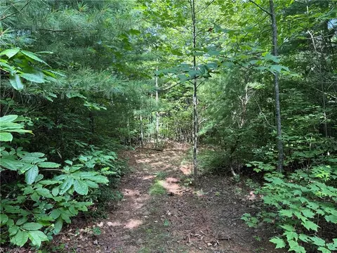 lot191 192 Casey Mountain Rd, Purlear, NC 28665 photo 15
