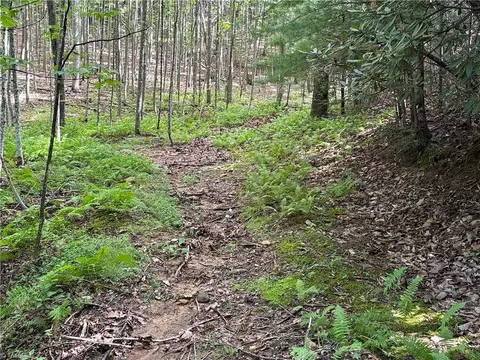 lot191 192 Casey Mountain Rd, Purlear, NC 28665 photo 16