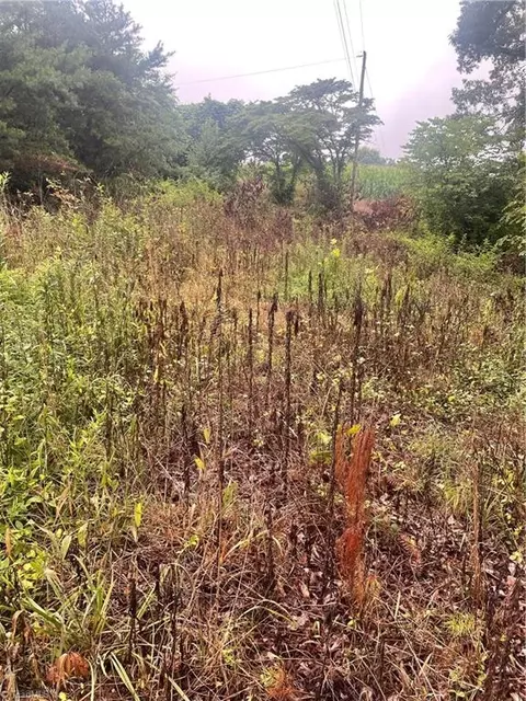 tbd Windy Ridge Rd, North Wilkesboro, NC 28659