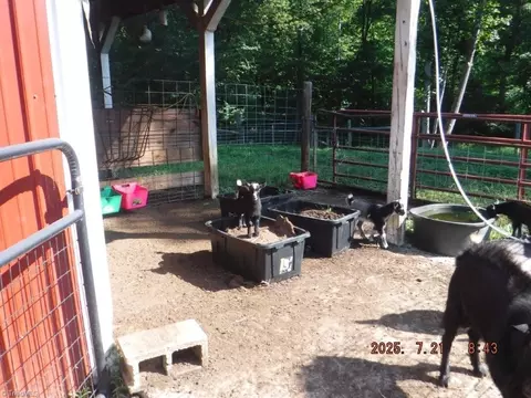 588 Lowe Rd, Madison, NC 27025 photo 37