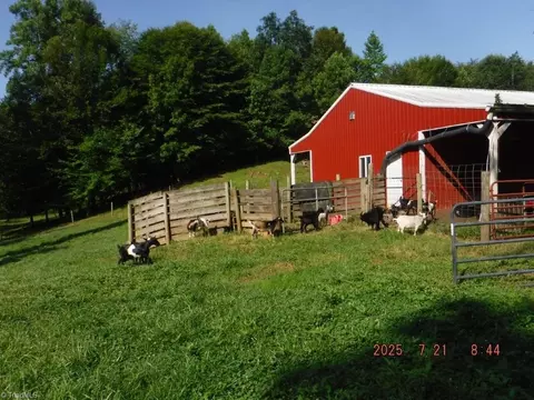 588 Lowe Rd, Madison, NC 27025 photo 26