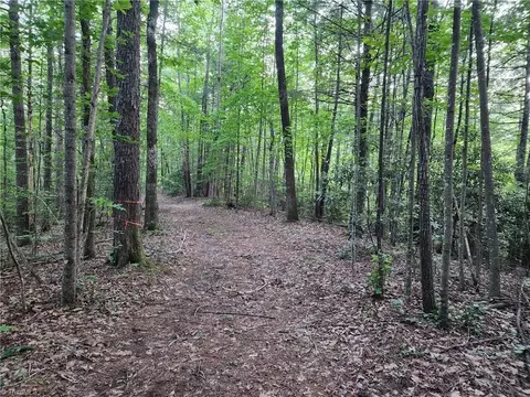 2750 Reedy Branch Rd, Purlear, NC 28665 photo 4