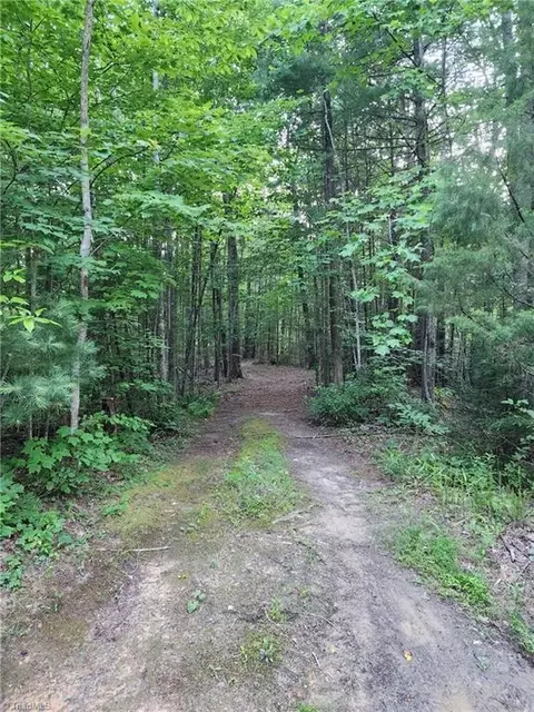 2750 Reedy Branch Rd, Purlear, NC 28665 photo 3