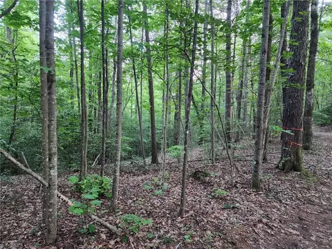 2750 Reedy Branch Rd, Purlear, NC 28665 photo 5