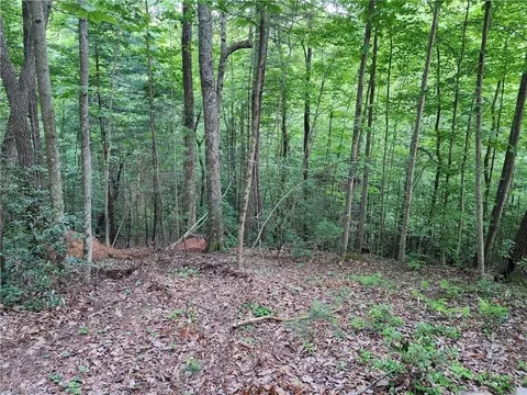 2750 Reedy Branch Rd, Purlear, NC 28665 photo 2