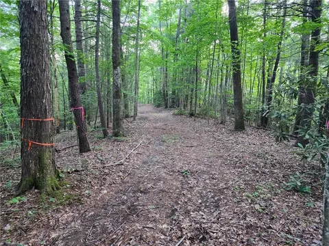 2750 Reedy Branch Rd, Purlear, NC 28665 photo 6