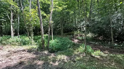 000 Joines Rd, Creston, NC 28615 photo 30