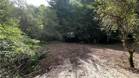 000 Joines Rd, Creston, NC 28615 photo 19