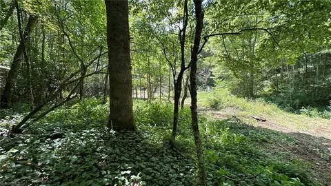 000 Joines Rd, Creston, NC 28615 photo 24