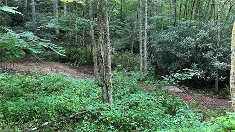 000 Joines Rd, Creston, NC 28615 photo 31