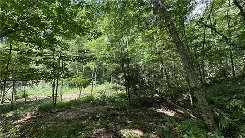 000 Joines Rd, Creston, NC 28615 photo 27