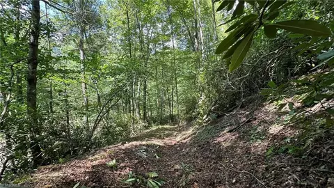 000 Joines Rd, Creston, NC 28615 photo 25
