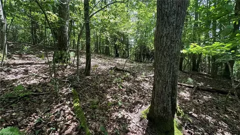 000 Joines Rd, Creston, NC 28615 photo 26