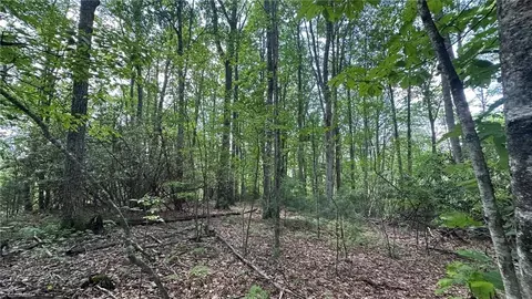 000 Joines Rd, Creston, NC 28615 photo 28