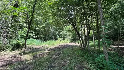 000 Joines Rd, Creston, NC 28615 photo 32
