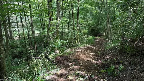 000 Joines Rd, Creston, NC 28615 photo 13