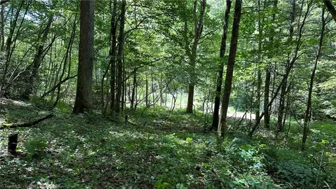 000 Joines Rd, Creston, NC 28615 photo 11