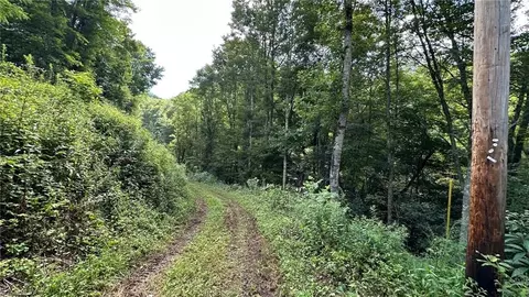 000 Joines Rd, Creston, NC 28615 photo 6