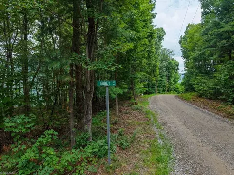 0 Abbey Rd, Mcgrady, NC 28649 photo 22