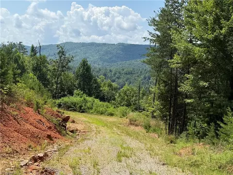 tbd Lazy Bear Ln, Purlear, NC 28665 photo 17