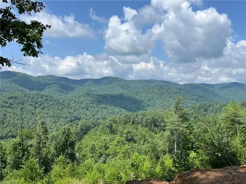 tbd Lazy Bear Ln, Purlear, NC 28665 photo 28