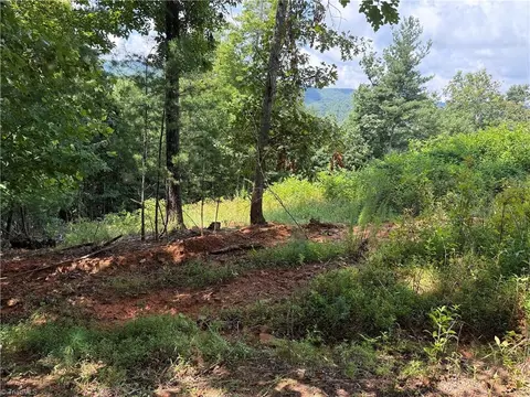 tbd Lazy Bear Ln, Purlear, NC 28665 photo 24