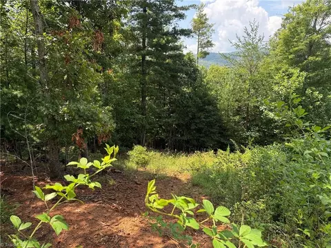 tbd Lazy Bear Ln, Purlear, NC 28665 photo 23