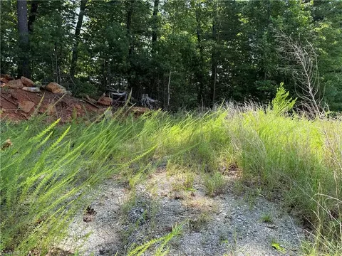 tbd Lazy Bear Ln, Purlear, NC 28665 photo 21