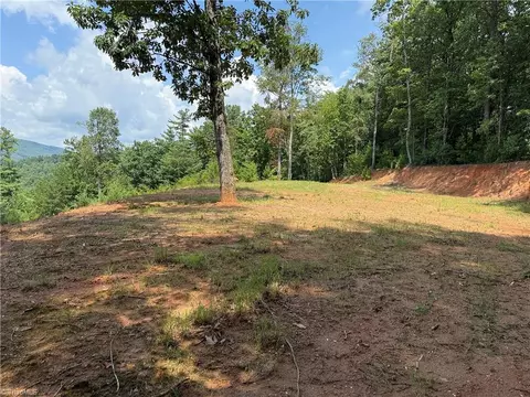 tbd Lazy Bear Ln, Purlear, NC 28665 photo 13