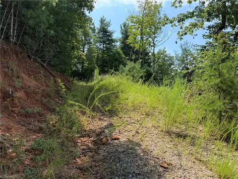 tbd Lazy Bear Ln, Purlear, NC 28665 photo 19