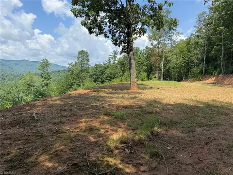tbd Lazy Bear Ln, Purlear, NC 28665 photo 9