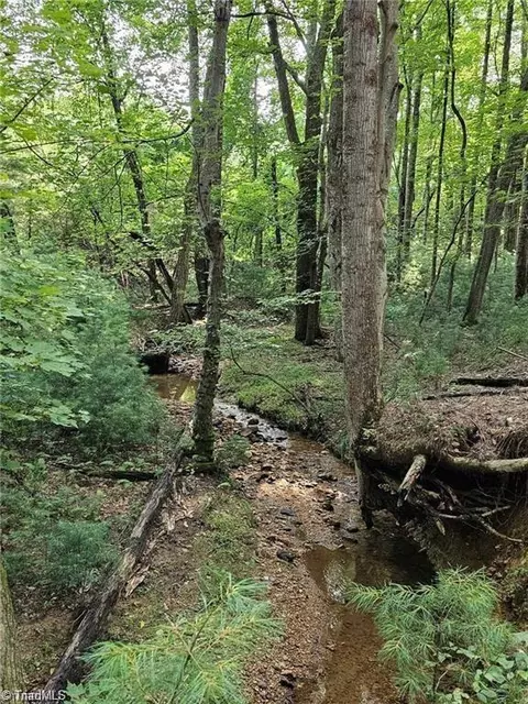 lot82 Mcintosh Dr, Lowgap, NC 27024