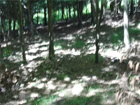 tbd Hickory View Dr, Sparta, NC 28675 photo 7