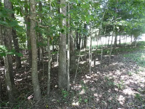 tbd Hickory View Dr, Sparta, NC 28675 photo 6