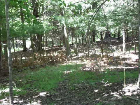 tbd Hickory View Dr, Sparta, NC 28675 photo 2