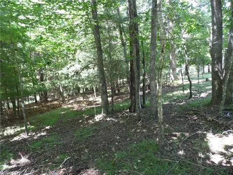 tbd Hickory View Dr, Sparta, NC 28675 photo 9