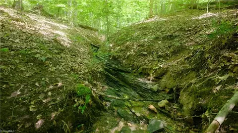 0 Johnson Rd, King, NC 27021 photo 17