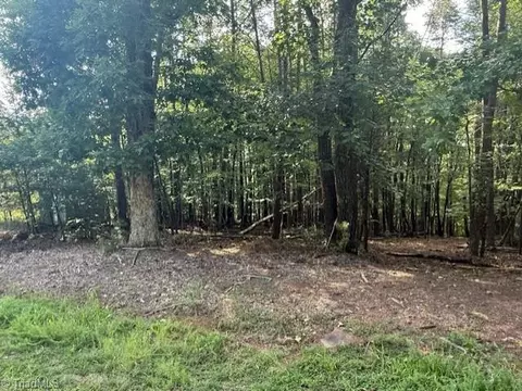 0 Cedar Mountain Rd, Mayodan, NC 27027 photo 12