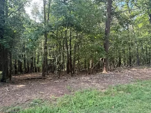 0 Cedar Mountain Rd, Mayodan, NC 27027 photo 10