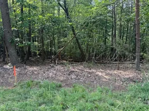 0 Cedar Mountain Rd, Mayodan, NC 27027 photo 6