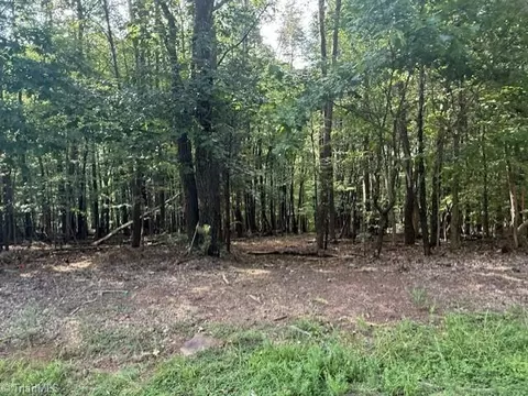 0 Cedar Mountain Rd, Mayodan, NC 27027 photo 11