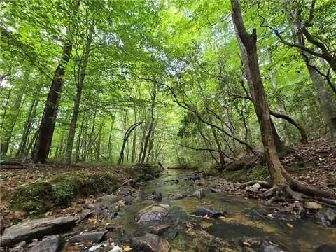 0000 Boone Farm Rd, Asheboro, NC 27205