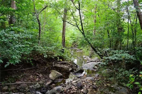 1396-1420 Fitch Rd #72 ACRES, Yanceyville, NC 27379