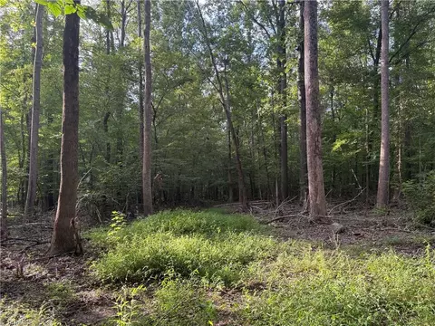 7149 Nature Rd, Liberty, NC 27298
